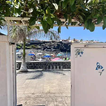 Neptuno Gure Ametsa By Sydney * Puerto de Santiago (Tenerife)