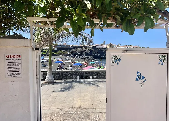 Neptuno Gure Ametsa By Sydney * Puerto de Santiago (Tenerife)